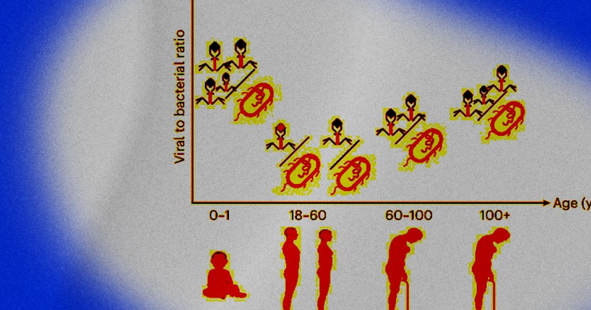 Вирусы долгожителей заставили кишечные бактерии вырабатывать больше сероводорода
